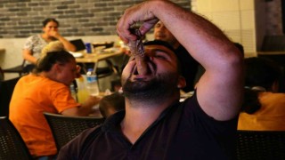Kurban Bayramı sakatata yaradı