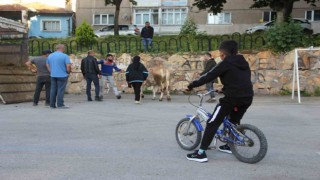 Kurban kesim alanları oyun parkına döndü