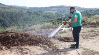 Kurban pazar yerleri ilaçlanıyor