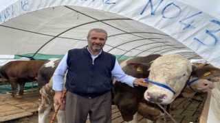Kurban pazarında satışlar hızla devam ediyor