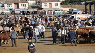 Kurbanlık alacaklar dikkat: “Hayvanlarda fiziki kusur olmaması gerek”