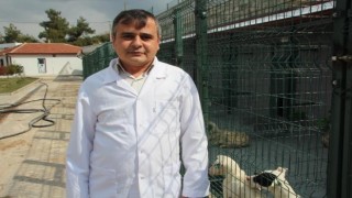 Kurbanlık alırken dikkat edilmesi gerekenler