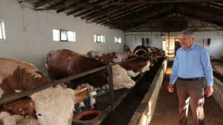 Kurbanlık satışları hızlandı