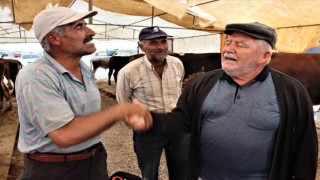 Kurbanlıklarda son durum: besici ucuz, tüketici pahalı diyor
