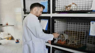 Kuşadasında sahipsiz can dostların ihtiyaçları ücretsiz karşılanıyor