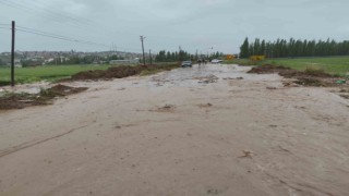 Kuvvetli yağış tarım arazilerinde hasara neden oldu