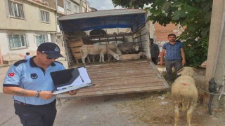 Mahalle arasında kurban satışına izin yok