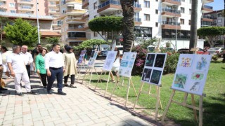 Mahmutlar ‘da el sanatları kursları yıl sonu sergisi açıldı