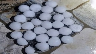 Malatyada dolu yağışı kayısı bahçelerine zarar verdi