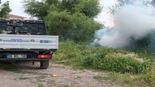 Malatyada haşere ile mücadele çalışmaları sürüyor