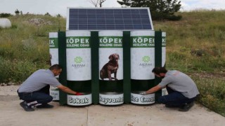 Meramda sokak hayvanlarının mama kapları artık otomatik dolacak