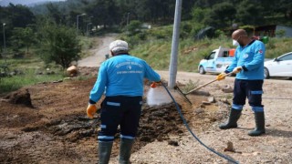 Merkezefendide tüm mahalleler ilaçlanıyor