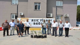 Mersin Büyükşehir Belediyesinin üreticiye desteği sürüyor