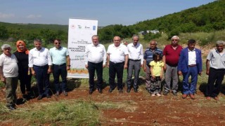 Mersin Erdemlide 850 rakıma modern ceviz bahçesi kuruldu
