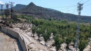 Mersin Mutta yağışlardan etkilenen alanlarda hasar tespiti