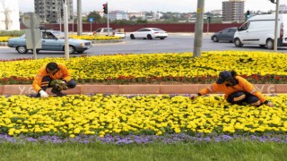 Mersin renkleniyor
