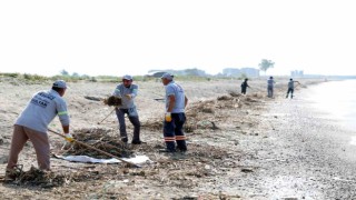 Mersinde caretta carettaların üreme alanı sahiller temizleniyor