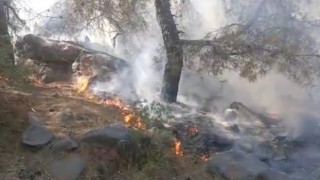 Mersinde orman yangını, 4 dönüm zarar gördü
