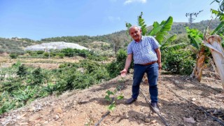 Mersinde üreticilere passiflora fidesi desteği