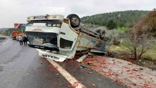 Meyve yüklü kamyon devrildi, yol karpuz tarlasına döndü