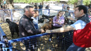 Muğlada 102 kurban kesim noktası oluşturuldu