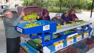 Muttaki erik üreticisine boylama makinesi desteği