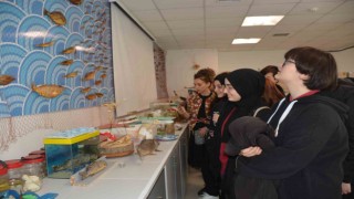 Öğrenciler fakülteleri inceledi