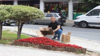 Oğul arılar tedirgin etti