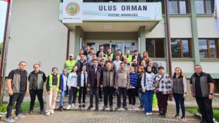 Orman mühendisi adayları yerinde eğitim alıyor