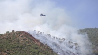 Orman yangınında gözaltına alınan şahıs serbest bırakıldı