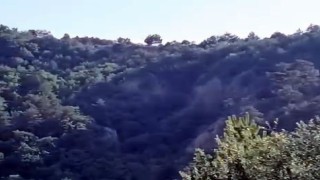 Ormanda yürüyüş yaparken 200 metrelik uçuruma düştü