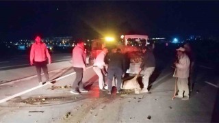 Otomobilin çarptığı koyun sürüsünde 18 koyun telef oldu