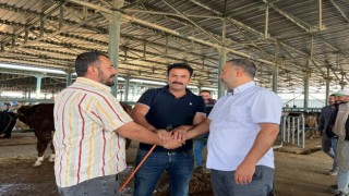 (ÖZEL) Eskişehirde kurbanlık satıcısı çifte bayram yapıyor