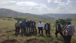 Paludaki bademler yöre halkına gelir kapısı olacak