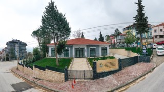 Pamukkale Belediyesinden koca çınarlara müjde