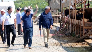Parıldar kurban pazarı ile satış kesim yerlerini inceledi