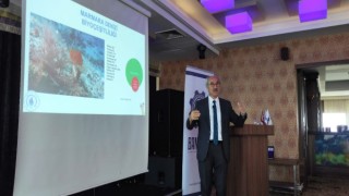 Prof. Dr. Sarı: Marmara Denizinde balık türlerimiz azaldı, habitat kayıpları yaşanıyor