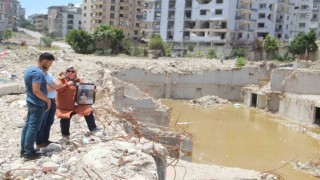 Rönesans enkazından kayıp çığlığı