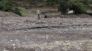 Sağanak yağış çeltik arazilerine zarar verdi