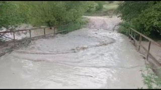 Sağanak yağış ekili arazileri sular altında bıraktı
