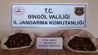 Salep soğanı toplayan kişilere 1 milyon 221 bin lira ceza kesildi