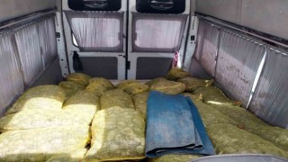 Samsunda deniz polisi 80 çuval kaçak midye ele geçirdi
