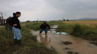 Sandıklıda sağanak yağış tarım arazilerine zarar verdi