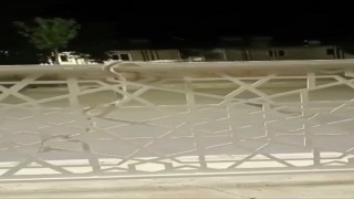 Şehir merkezindeki bariyere çıkan yılan paniğe neden oldu