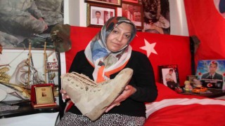 Şehit annesi Aydemir: Selahattin Demirtaş inşallah içeriden çıkmasın