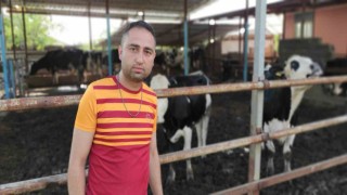 Sele kapılan hayvanlarını gözyaşlarıyla çeken çiftçi, dehşet anlarını anlattı