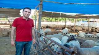Seyhanda kurban satış ve kesim yerleri belirlendi