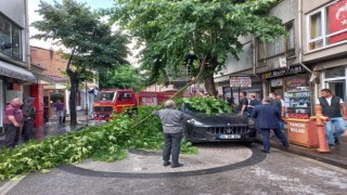 Şiddetli rüzgarda kırılan ağaç dalı, lüks otomobilin üzerine düştü