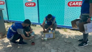Sokaktaki can dostlarını depremin ilk günlerinden bu yana unutmadılar