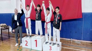 Taekwondo şampiyonasına Alaplı damgası